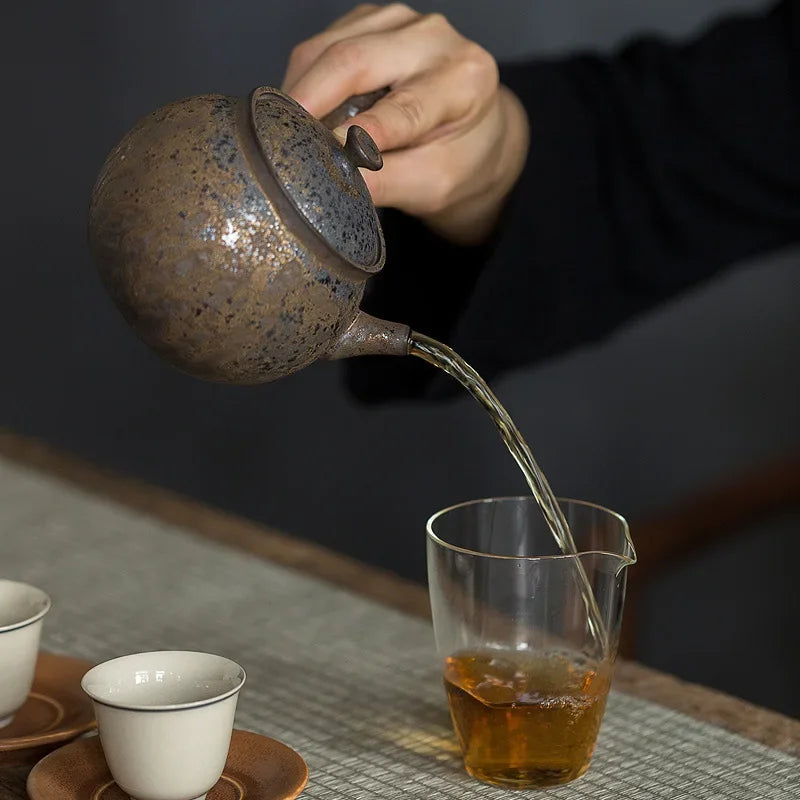 iron kyusu pourer side handle — angle 4