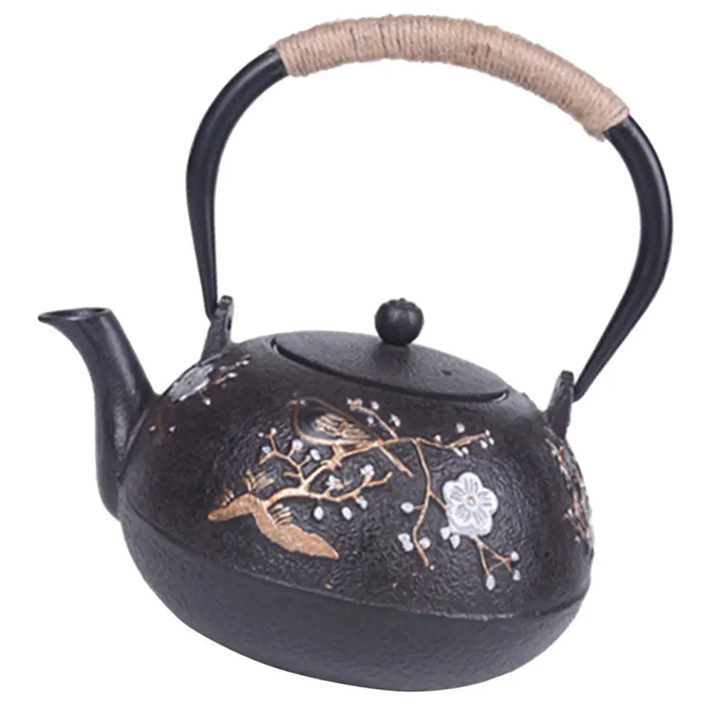 cast iron teapot tetsubin matte black 22oz — angle 1