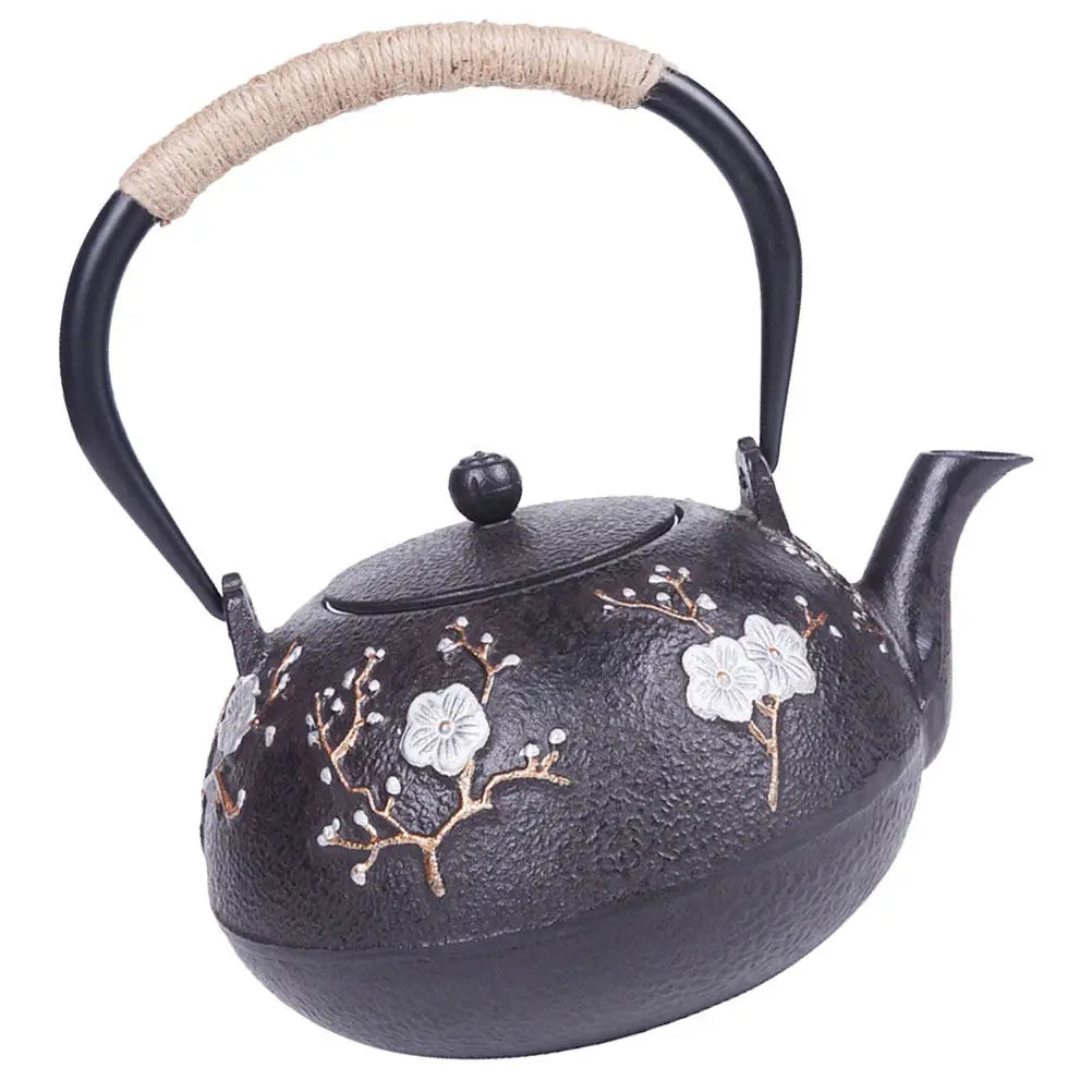 cast iron teapot tetsubin matte black 22oz — angle 4