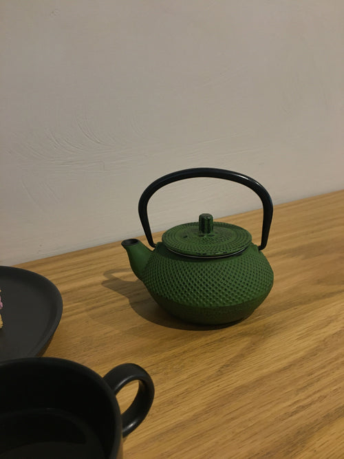 cast iron teapot, matte black 22oz with infuser