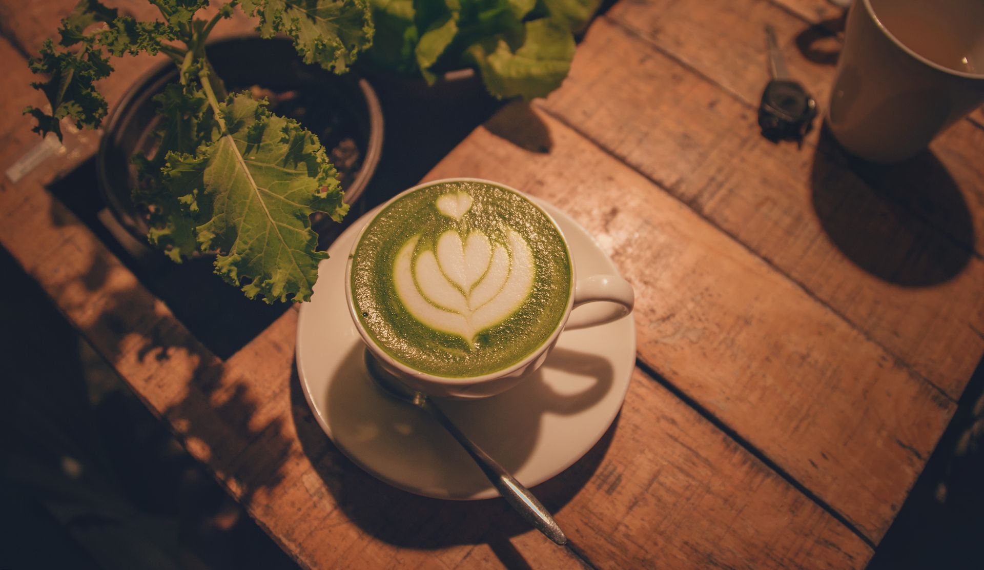brille-hero-v2 — matcha bowl warm editorial landscape